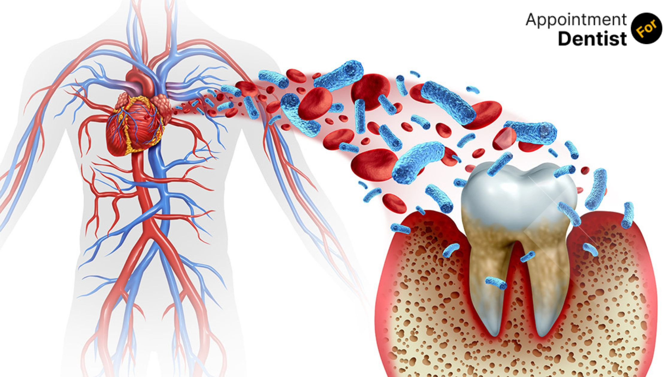 The Link Between Oral Health and Heart Disease