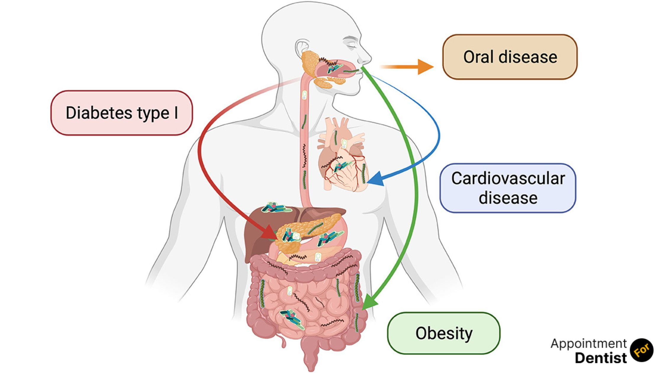 The Connection Between Oral Health and Gastrointestinal Diseases